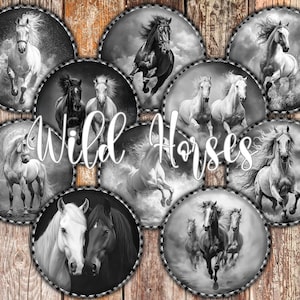 Puede incluir: Una colección de imágenes circulares en blanco y negro con caballos corriendo. El texto "Wild Horses" está escrito en cursiva en el centro de la imagen, sobre un fondo de madera.