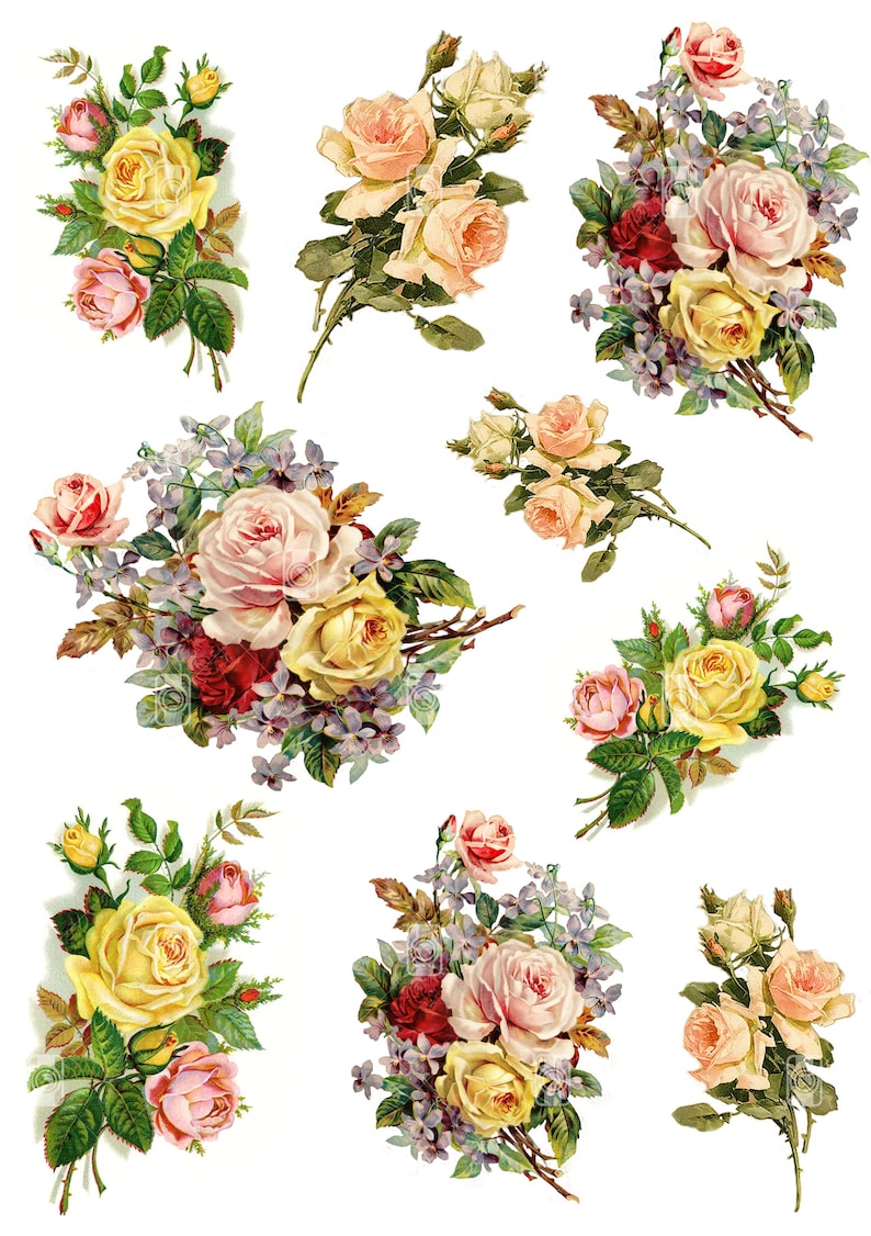 Puede incluir: Una colecci&oacute;n de diez ilustraciones florales vintage con ramos de rosas rosas, amarillas y blancas con hojas verdes y flores moradas.