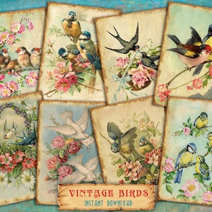 Digitale ATC-kaarten Vintage Birds-8 afdrukbare ACEO 2,5 x 3,5 inch gewijzigde kunstfoto's van antieke ansichtkaarten klaar om af te drukken png, jpg, pdf 300 dpi