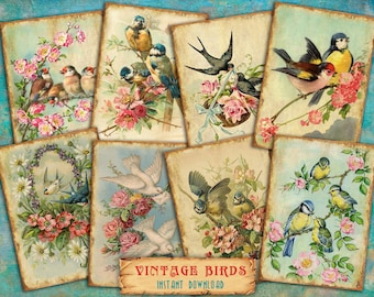 Digital ATC Cards Vintage Birds - 8 Printable ACEO 2.5&quot;x3.5&quot; Altered Art Pictures from Antique Postcards Ready to Print PNG, Jpg, Pdf 300dpi