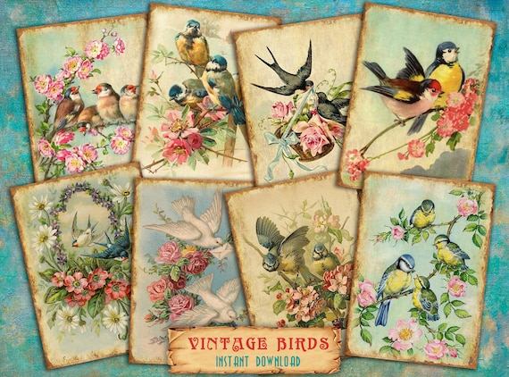 Digital ATC Cards Vintage Birds - 8 Printable ACEO 2.5"x3.5" Altered Art Pictures from Antique Postcards Ready to Print PNG, Jpg, Pdf 300dpi