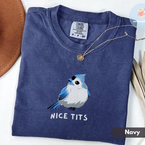 Funny Embroidered Bird Shirt Nice Tits Tufted Titmouse Bird Lover Gift Outdoor Lover Shirt Funny Adult Humor Tee Blue Bird Shirt