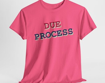 Unisex Tee "Due Process" Gift for Activists, Political Statement Shirt