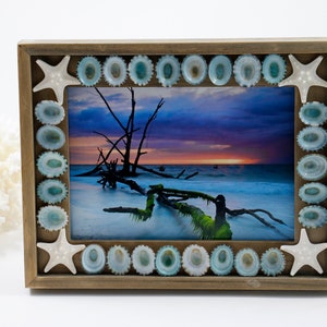 Seashell Photo Frame, Shell Picture Frame, 5&quot;x7&quot; Beach Frame, Beach Decor, Tropical Decor, Coastal Decor, Mermaid Frame, Beach Wedding Gift