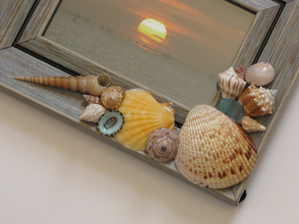 Seashell Photo Frame Shell Picture Frame Beach Decor Beach Etsy