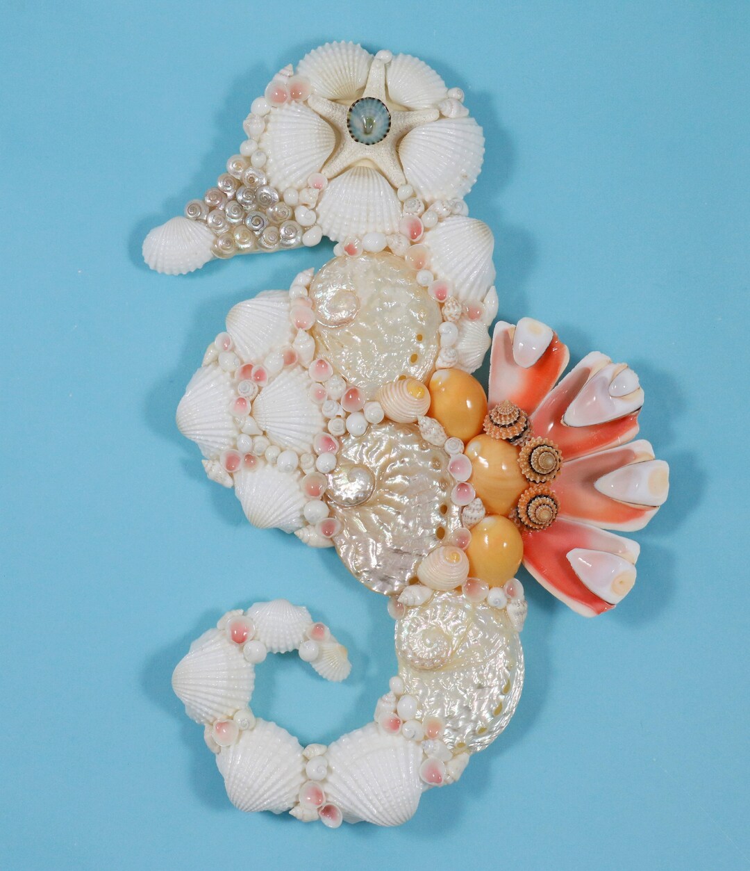 Seashell Wall Art Seashell Seahorse Beach Decor Coastal Etsy