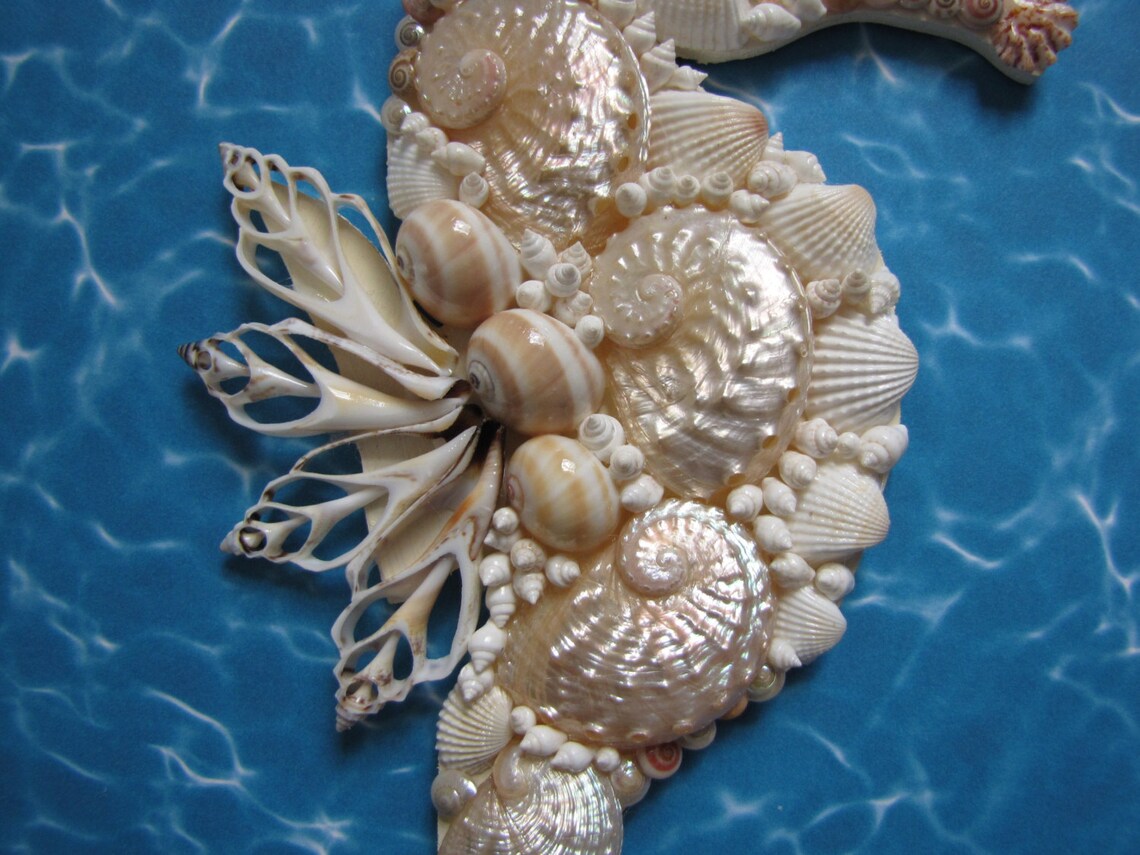 Seahorse Wall Decor Seahorse Shell Art Beach Decor Etsy