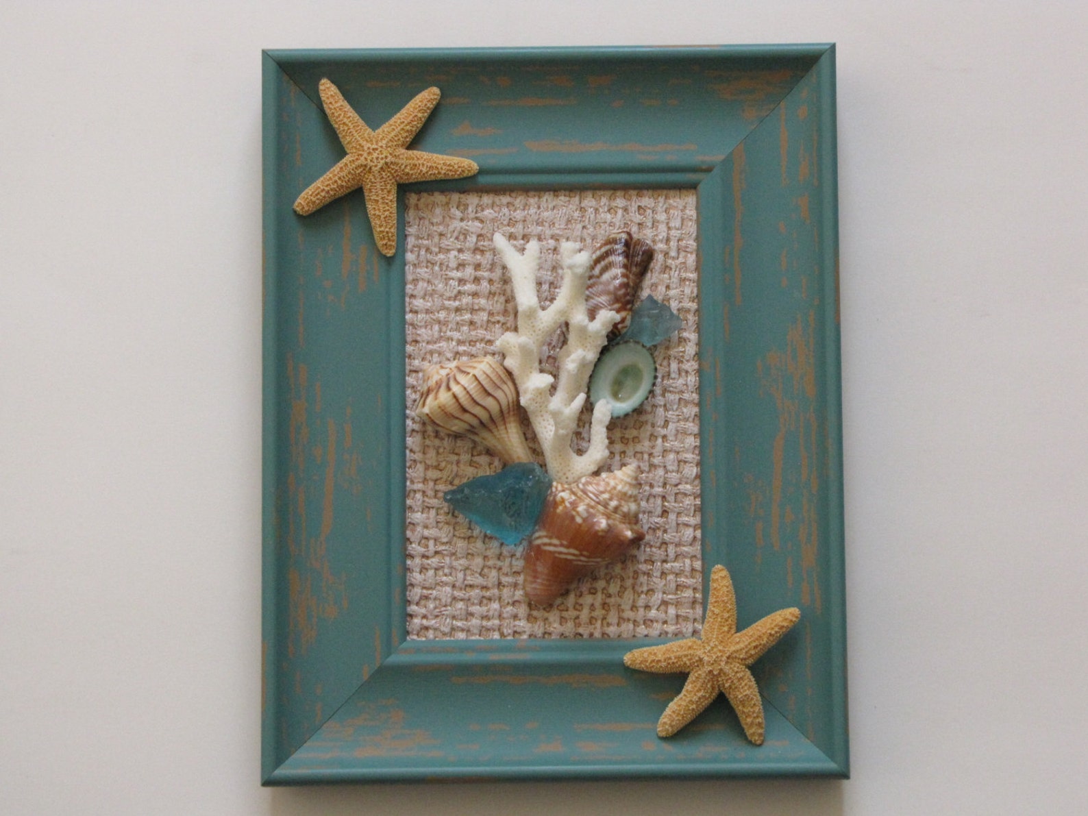Seashell Wall Decor Framed Seashell Wall Art Beach Decor Etsy