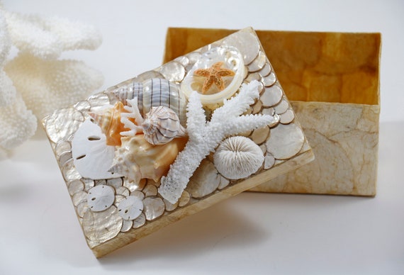 Beach Decor Seashell Box Shell Box Tropical Decor Coastal Etsy