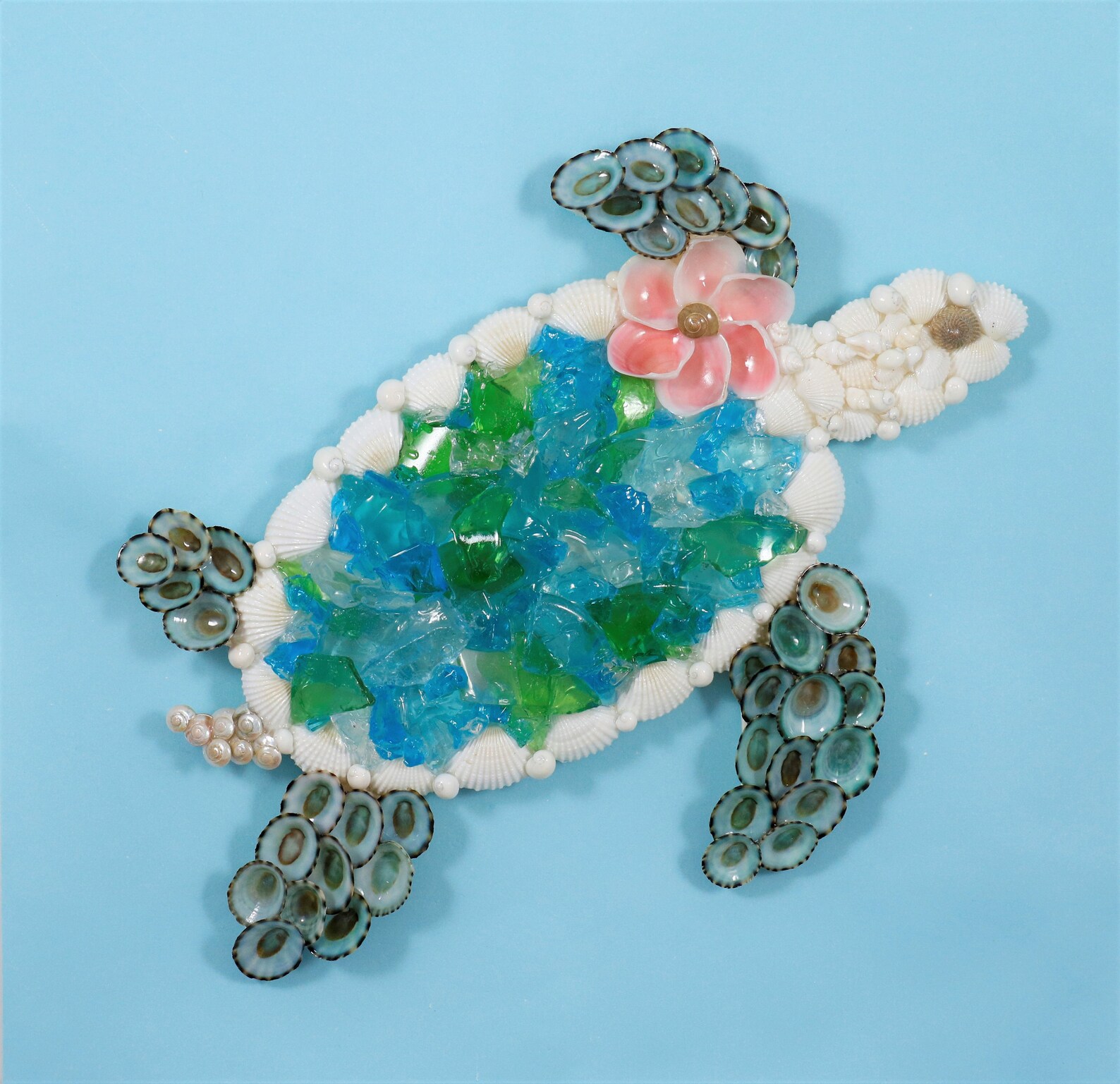 Sea Turtle Wall Hanging Sea Turtle Shell Art Beach Decor Etsy