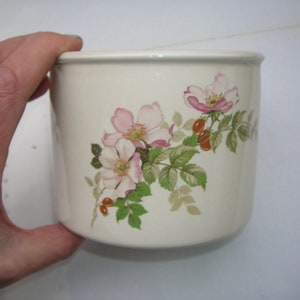 Peut inclure: Pot en céramique crème avec un motif floral de fleurs roses, de feuilles vertes et de baies rouges. Le pot est cylindrique avec un bord légèrement évasé. Le motif floral est sur le devant.