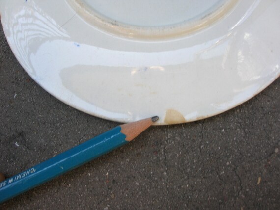 ウィリアム アダムス プレート