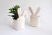 White and Pink Easter Ceramic Rabbit Planter in Two Shapes with Different Ears. Ready to Ship 