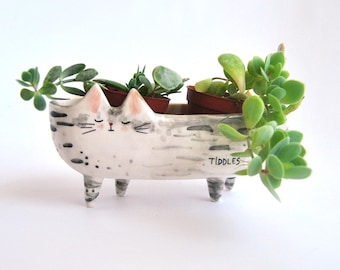 Ceramic Cat or Pet Planter Personalizated, Oval Shape and Four Legs. Ceramic Cat Flower Pot for Plants, Cactus or Suculents. Made to Order