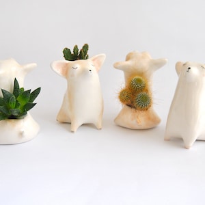 Op de afbeelding: Vier witte keramische dierenpotten met groene vetplanten. De potten zijn gevormd als honden en zijn een geweldige manier om een ​​toets van whimsy toe te voegen aan je interieur.