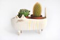 Ceramic Siamese Cat Planter. Siamese Cat Bowl Decorated with Multicolor Stripes. Ready to Ship
