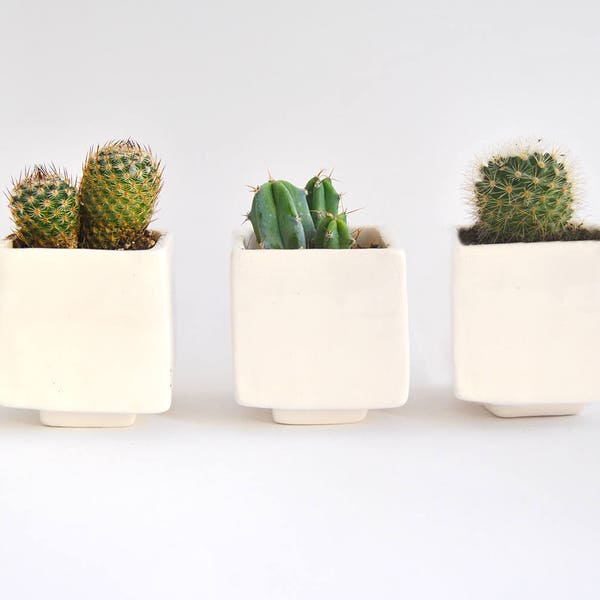 Ensemble de trois pots en céramique blanc géométrique en forme de cube. Idéal pour les cactus, les plantes grasses et les usines d’air. Prêt à expédier