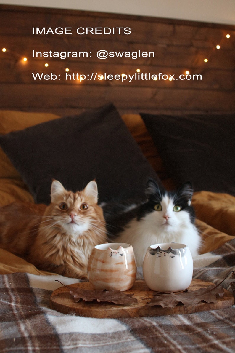 May include: Two cats sit on a bed with a brown and white plaid blanket. The cats are looking at the camera. There are two ceramic cat mugs on a wooden tray in front of the cats. The mugs are brown and white with black cat faces. The text on the image reads "IMAGE CREDITS Instagram: @swaglen Web: http://sleepylittlefox.com"