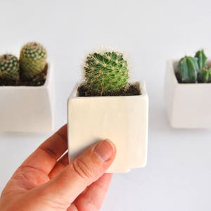 Set of Three Geometric Ceramic Planters, Cube Shaped and in Plain White Color. Ideal for Cactus, Succulents and Air Plants. Ready to Ship image 2