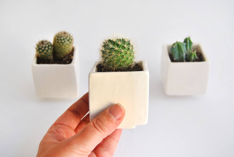 Set of Three Geometric Ceramic Planters, Cube Shaped and in Plain White Color. Ideal for Cactus, Succulents and Air Plants. Ready to Ship image 2