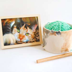 Op de afbeelding: Een keramische garenkom met een kattenontwerp, met een bol lichtgroen garen. Een houten haaknaald en een ingelijste foto van een kat zijn ook op de afbeelding te zien.