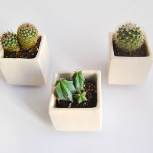 Set of Three Geometric Ceramic Planters, Cube Shaped and in Plain White Color. Ideal for Cactus, Succulents and Air Plants. Ready to Ship image 3