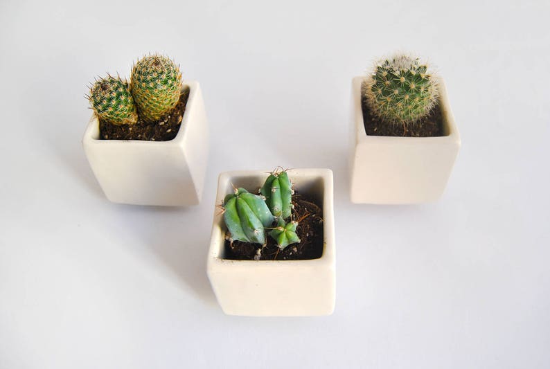 Set of Three Geometric Ceramic Planters, Cube Shaped and in Plain White Color. Ideal for Cactus, Succulents and Air Plants. Ready to Ship image 3