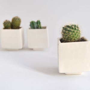 Set of Three Geometric Ceramic Planters, Cube Shaped and in Plain White Color. Ideal for Cactus, Succulents and Air Plants. Ready to Ship image 6