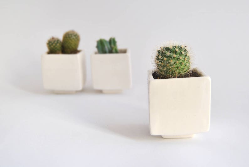Set of Three Geometric Ceramic Planters, Cube Shaped and in Plain White Color. Ideal for Cactus, Succulents and Air Plants. Ready to Ship image 6
