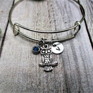 May include: A silver expandable bangle bracelet with a charm of an owl with a blue gemstone, a charm of a letter V, and a blue gemstone charm.
