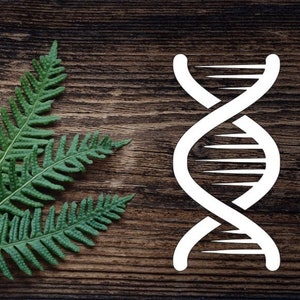 DNA Vinyl Decal For Tumbler Cup, Laptop, Car Decal For Science  Decal