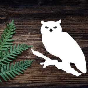 Vinyl Owl Decal For Water Bottle Barn Owl Sticker Cup Sticker Laptop Decal Car Decal Spooky Gifts Halloween Barn Owl  Decal