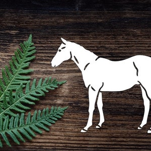 Vinyl Horse Decal For Water Bottle Horse Sticker Cup Sticker Laptop Decal Car Decal Equestrian Decal Animal Decal