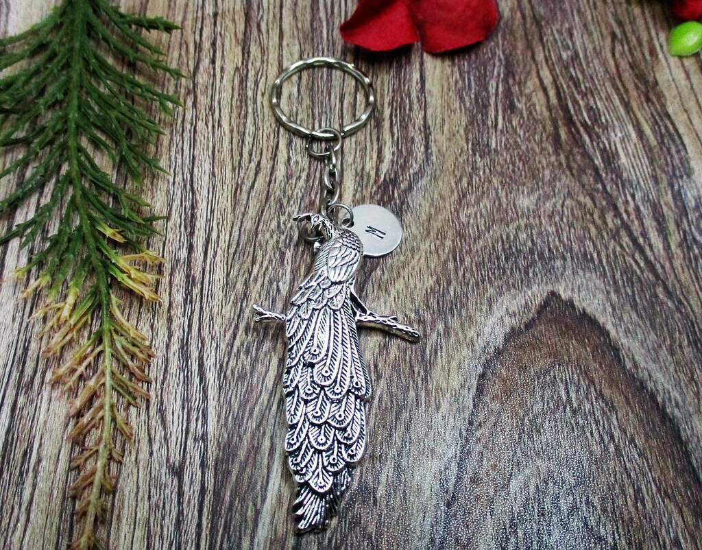 Portachiavi 'Just A Girl Who Loves Peacocks' – Acciaio Inossidabile Con Sacchetto In Velluto, Regalo Per Amanti Dei Pavoni, Argento