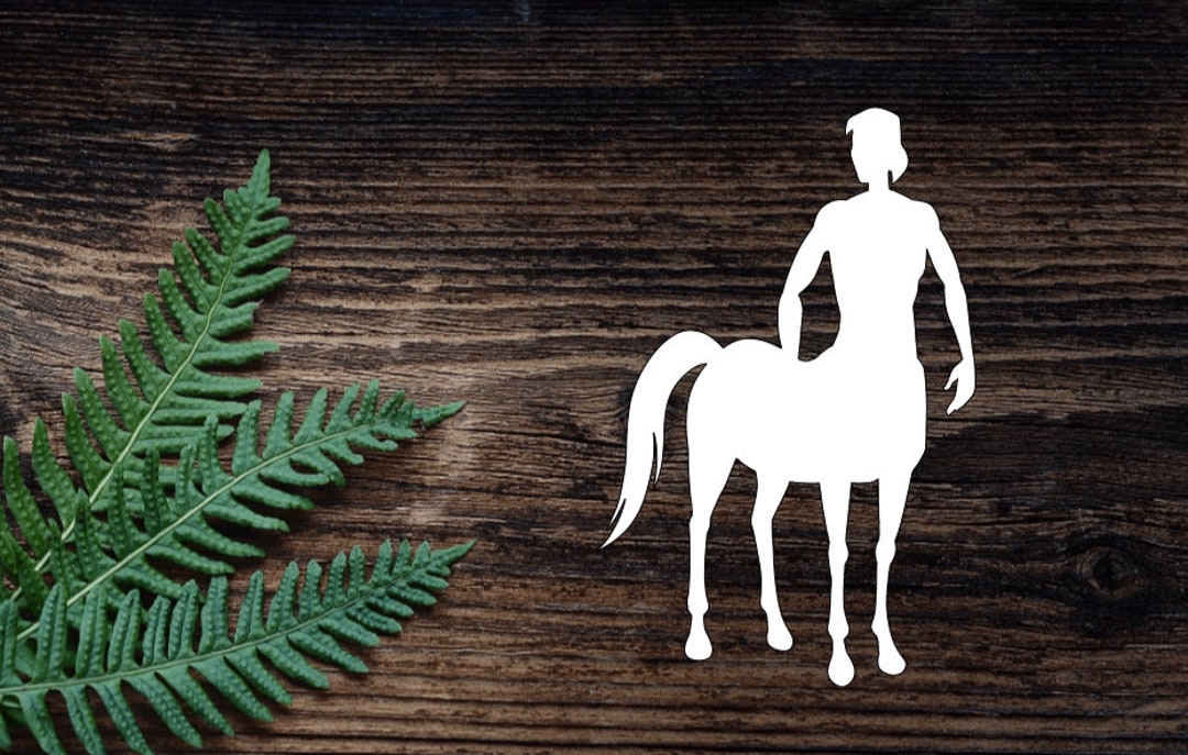 Centaur Vinyl Decal for Water Bottle Sticker Cup Sticker Laptop Decal ...