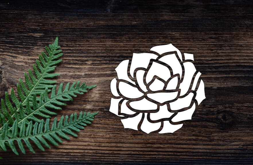 EW Designs Dainty Succulent Plants Pot Vinyl Decal Sticker - 4 Inches Tall, Waterproof Bumper Sticker