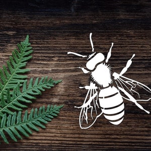 Bee Vinyl Decal For Water Bottle Bumble Bee Sticker Cup Sticker Laptop Decal Car Decal Bee Decal For Tumbler