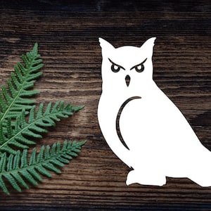 Vinyl Owl Decal For Water Bottle Barn Owl Sticker Cup Sticker Laptop Decal Car Decal Spooky Gifts Halloween Barn Owl  Decal