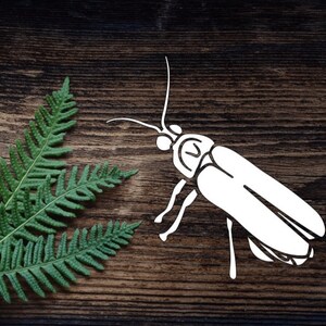 Firefly Decal Lightning Bug Vinyl Decal For Water Bottle  Firefly Sticker Cup Sticker Laptop Decal Car Decal Tumbler