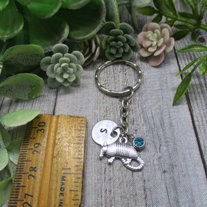 Armadillo Keychain Birthstone Keychain Texan Keychain Gift Personalized Gifts For Her Animal Keychain image 2