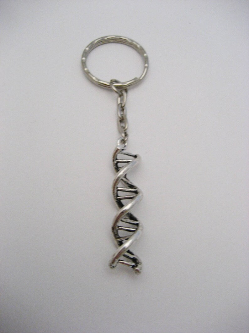 DNA Keychain Science Keychain Double Helix Keychain Biology Etsy