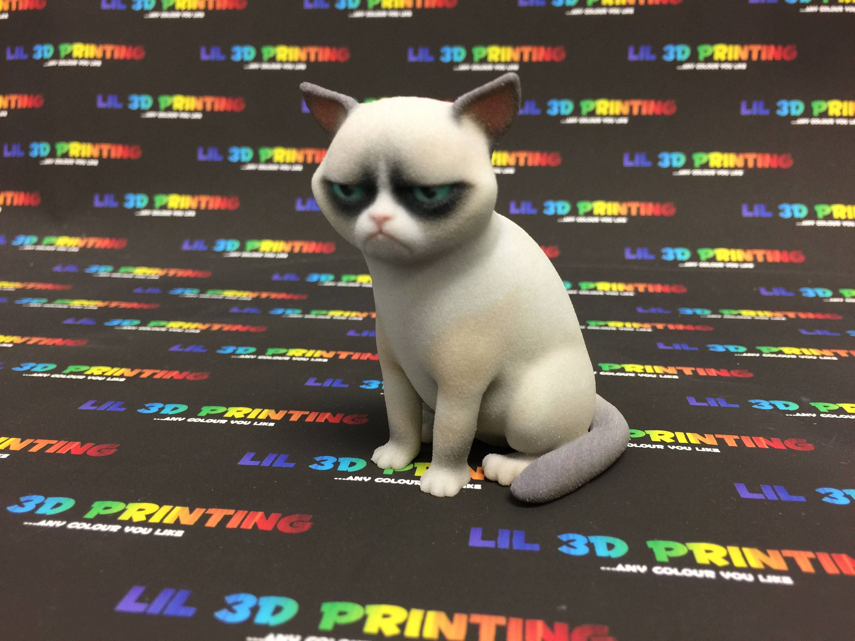 Grumpy Cat Standard Edition | Etsy