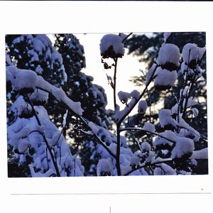 Carte postale soir d’hiver/neige