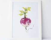 Turnip - Fine Art Print