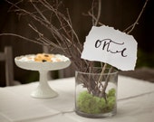 Table Number signs or photo props, cursive numbers on card stock