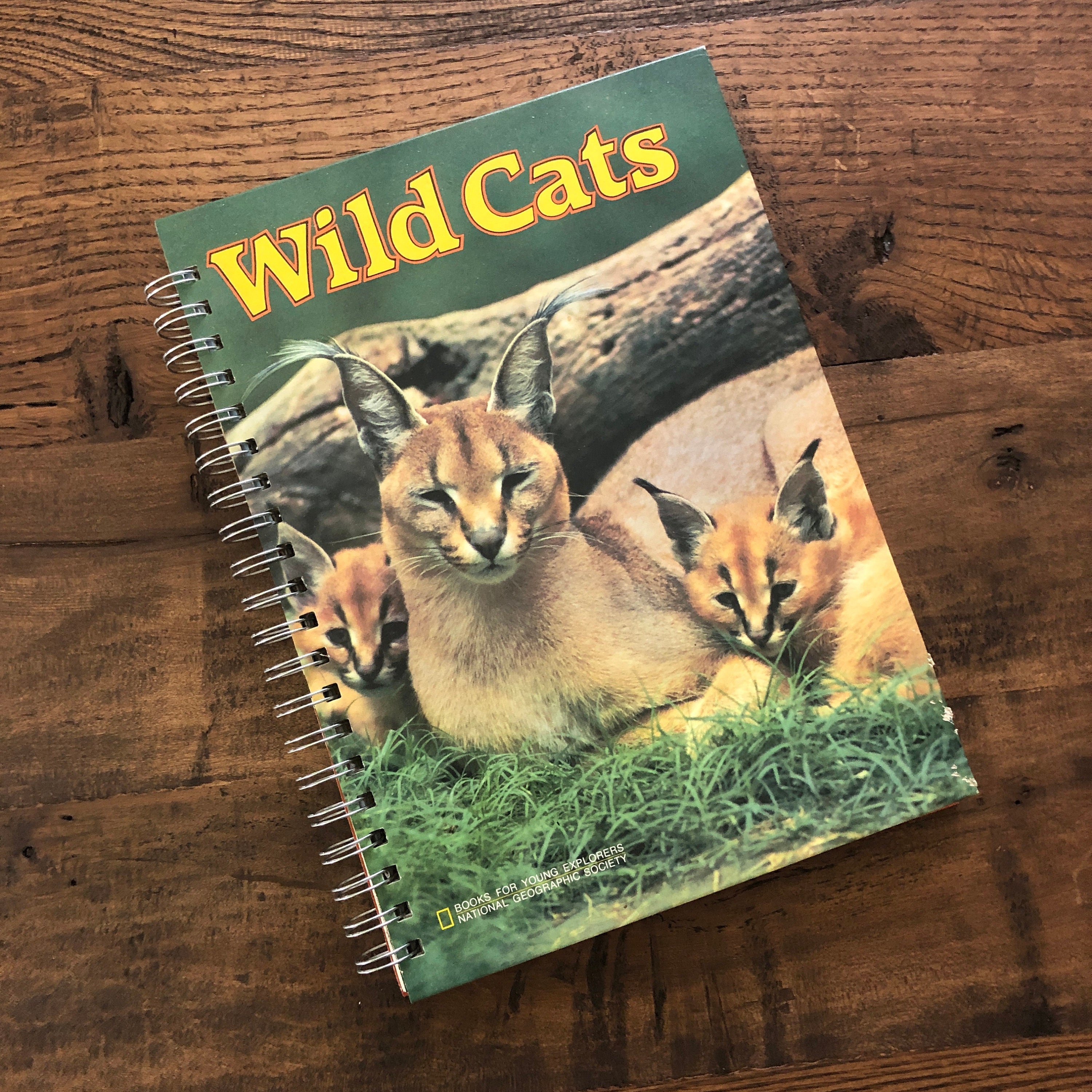 洋書 The Wild Cat Book Amazon.com: The Wild Cat Book: Everything You Ever Wanted to