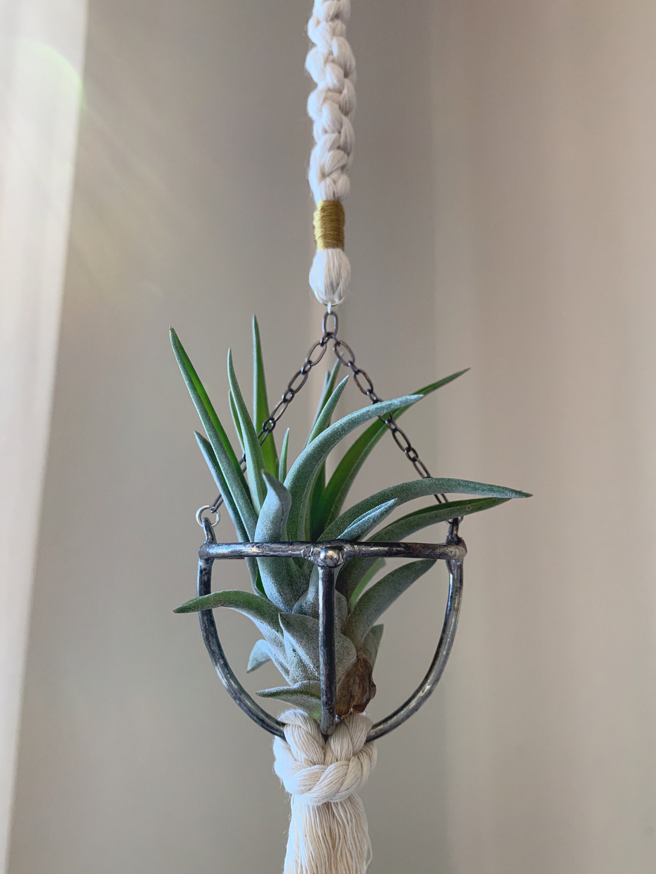 Small Macramé Air Plant Hanger