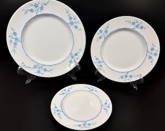 3 platos Spode China Blanche de Chine azules, cena, ensalada y pan