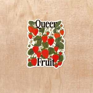 Pegatina de fruta queer / justicia social, solidaridad, fresa, wlw, lesbiana, queer, no binario, trans, orgullo gay, LGBTQ+, feminista, protesta