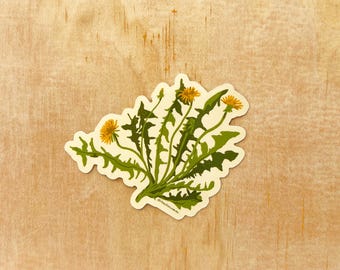 Sticker paardebloem | geneeskrachtige planten, kruidengeneeskunde, botanisch, spiritueel, sociale rechtvaardigheid, klimaatrechtvaardigheid, feministisch, protestkunst, bevrijdingskunst